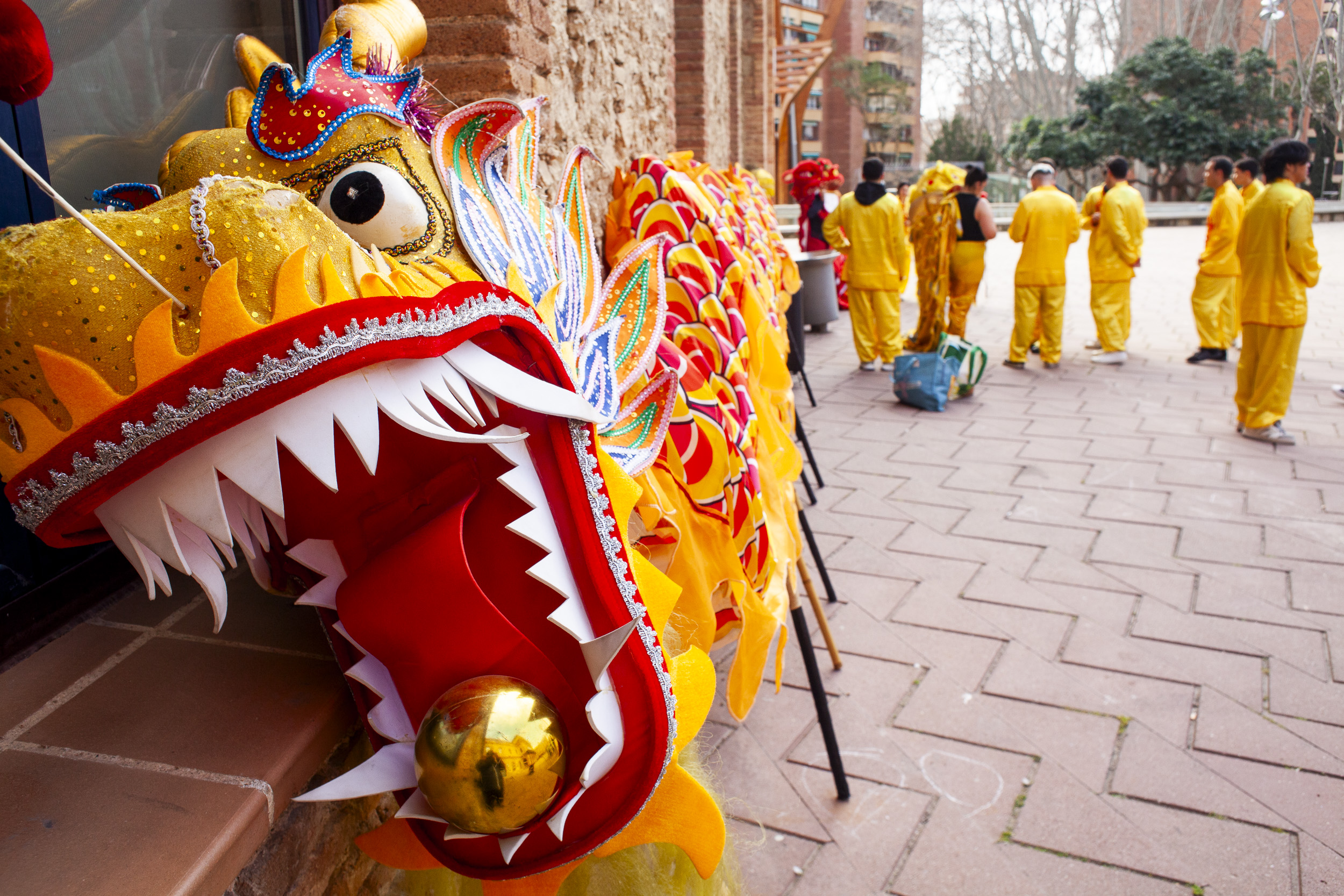 Chinese New Year in Barcelona