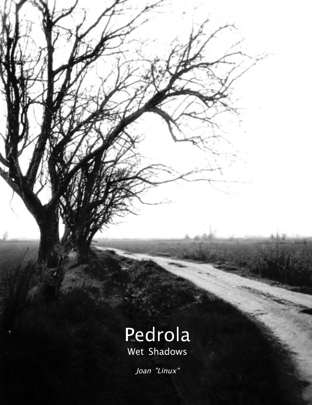 Pedrola: Wet Shadows